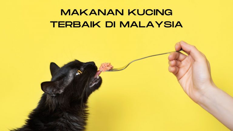 makanan kucing